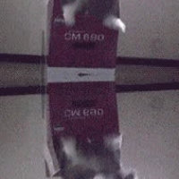 Endless kittens AggressiveShrillCero